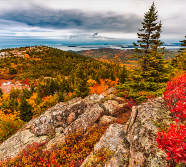Herbstlandschaft im Acadia National Park mit felsigem Vordergrund, leuchtend rotem Laub und weiter Küstenlinie; Bar Harbor ist am Horizont sichtbar, typisch nordamerikanische Küstenlandschaft Kanada-Rundreise