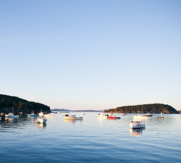 Bar Harbor Hafen mit zahlreichen Booten, ruhiges blaues Wasser, kleine Inseln im Hintergrund – Bezug zu Acadia National Park in der Neuengland-Region Kanada-Rundreise