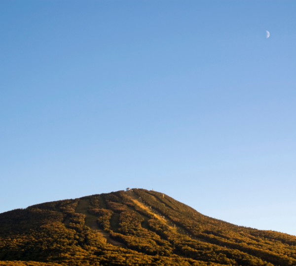 Grüner Hügel mit dichter Vegetation erstreckt sich unter klarem blauen Himmel; ein kleiner Halbmond ist am oberen Rand sichtbar, vermittelt eine ruhige Berglandschaft aus der Region Vermont, USA. Kanada-Rundreise