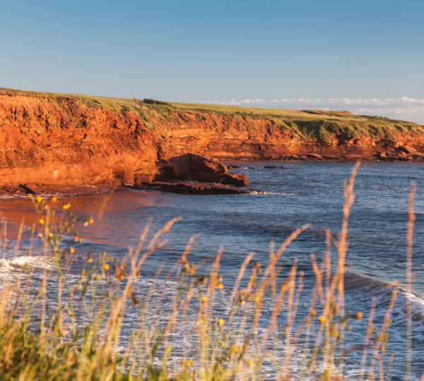 Rote Klippen an der Küste von Prince Edward Island, grasbewachsene Uferlandschaft, ruhiges Meer, Charlottetown-ähnliche Küstenstimmung Kanada-Rundreise