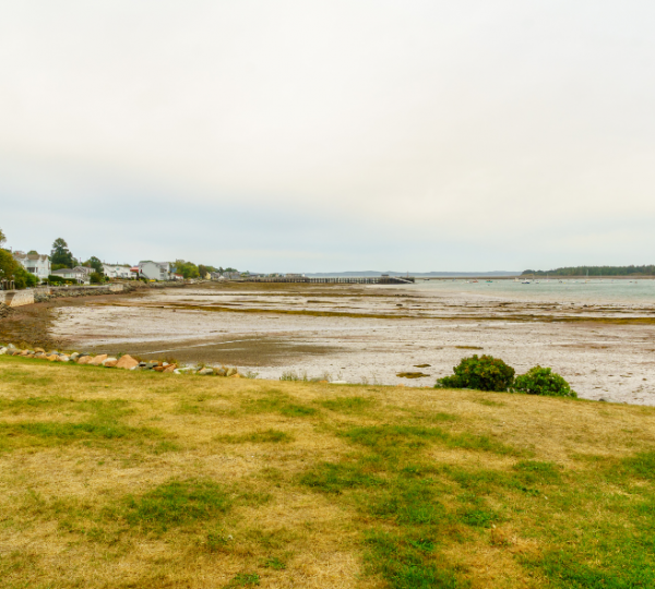 St. Andrews by the Sea in Nova Scotia: grasbewachsene Küstenlandschaft mit Gezeitenboden, ruhiges Meer, Wolkenhimmel und entfernt stehende Häuser entlang der Küste Kanada-Rundreise