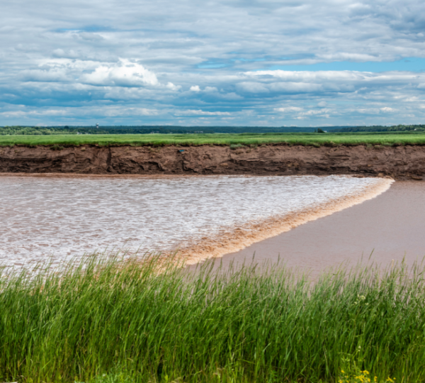 Grünes Gras am Ufer, rosa-gefärbtes Salzwasserbecken und weiter blauer Himmel über einer ruhigen Küstenlandschaft der Atlantikprovinzen, erinnert an Regionen rund um Halifax und Charlottetown Kanada-Rundreise