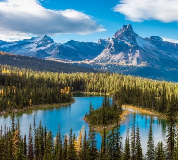 Banff-Glacier-Lake: klarblaues Wasser eines Bergsees in Banff mit umlaufendem Wald, imposante schneebedeckte Berggipfel im Hintergrund Kanada-Rundreise