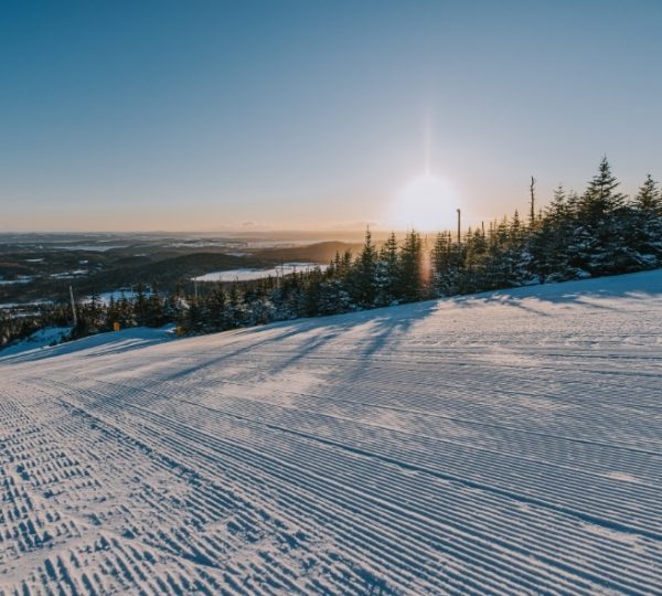 Verschneite Hügellandschaft mit Schneeoberflächen und einem Sonnenuntergang über einer Waldkante; klare Herbst- bis Winterszene, ikonische Küstenlandschaft, Clarenville-Region im Hintergrund Kanada-Rundreise