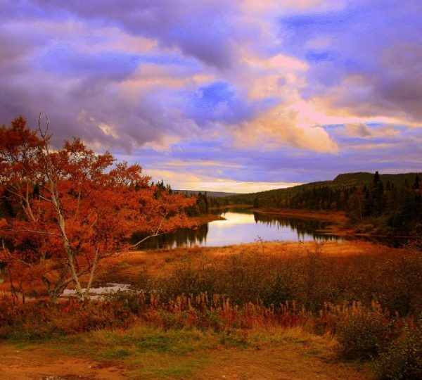 Herbstliche Flusslandschaft auf Cape Breton mit rotem Laub, weiten Ufern, Grasflächen und wolkigem Himmel, Bay of Fundy in der Nähe Kanada-Rundreise