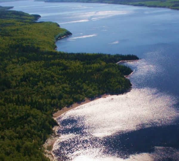 Luftaufnahme der Küstenlandschaft bei Cow Head, Neufundland: dichte grüne Wälder säumen silbrig schimmernde Wasserflächen, Sonnenreflexe auf dem Meer Kanada-Rundreise