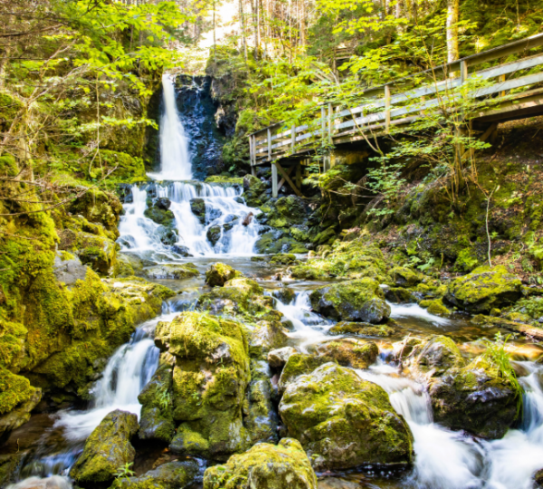 Fundy National Park Waldwasserfall mit holzsteg durch grün belaubten Wald, moosbewachsene Felsen und fließendem Wasser Kanada-Rundreise