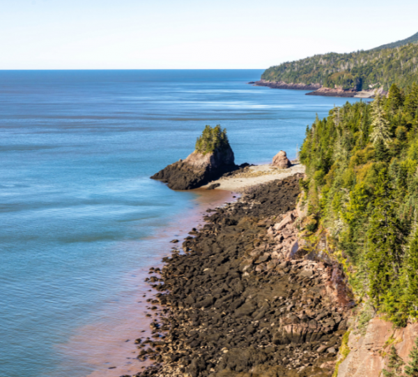 Blick auf die Küste des Fundy National Park: blaues Meer, grüne Waldkante, rötlich-braune Fels- und Kiesküste am Bay of Fundy, felsige Klippen Kanada-Rundreise