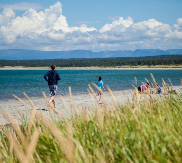 Gander-Strand an der Küste mit sandigem Ufer, blauem Meer, Gräsern im Vordergrund und Familien am Strand; Blick über Küstenlandschaft im Nordosten Kanadas nahe Halifax, Cape Breton und Prince Edward Island Kanada-Rundreise