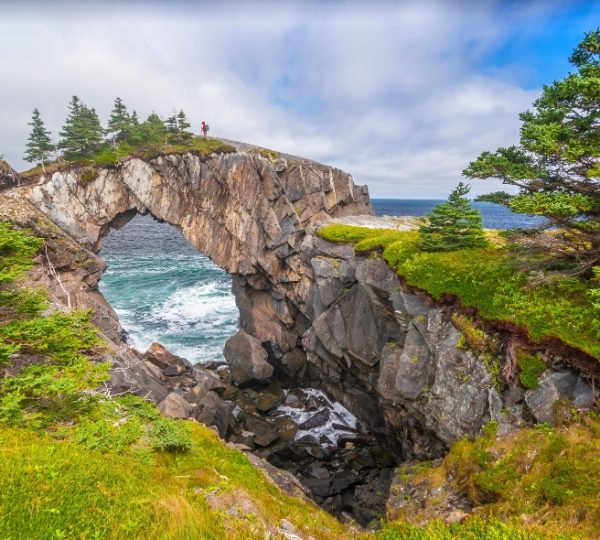 Berry Head Arch Küstenformation mit grüner Vegetation, felsigen Klippen und tosenden Wellen im Hintergrund, typisch für Newfoundland Kanada-Rundreise