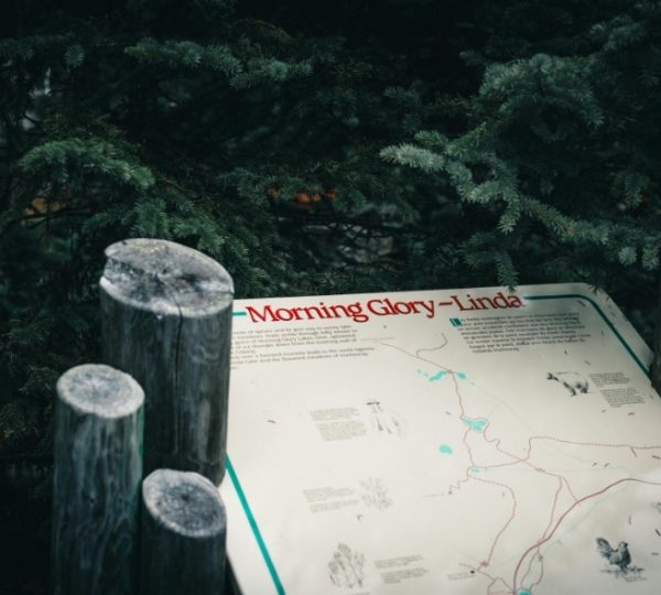 Infotafel Morning Glory – Linda mit Karte, von Holzpfosten umrahmt, vor grünem Nadelwald, Bezug zu Rocky Mountaineer Vancouver-Alaska Kreuzfahrt Kanada-Rundreise