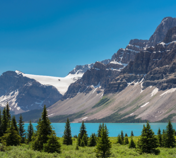 Banff-Landschaft mit blauem Himmel, türkisblauem See und schroffen Bergketten, davor grüne Nadeln und Wald, ruhige Naturkulisse in Kanada Kanada-Rundreise