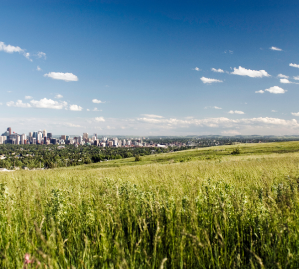 Calgary Skyline im Hintergrund, grünes Grasfeld im Vordergrund, blauer Himmel mit wenigen Wolken, weite Prairie-Szene Kanada-Rundreise