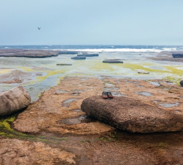 Halifax Küstenlandschaft mit felsiger, rauer Küste, ruhigem Meer und Seetang am Vordergrund; ikonische rotonde Felsen markieren das Landschaftsbild in Atlantik-Kanada, Halifax-Verbindung Kanada-Rundreise