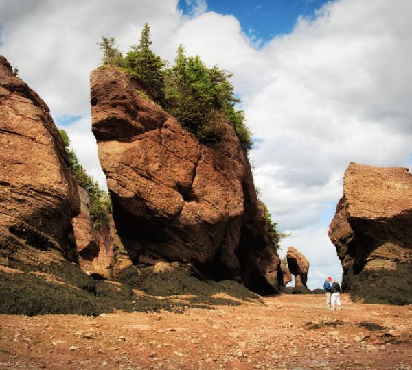 Hopewell Rocks roter Sandstein an der Bay of Fundy, beeindruckende Küstenlandschaft mit hohen Felsformationen, grüne Bäume oben, Wolkenhimmel Kanada-Rundreise