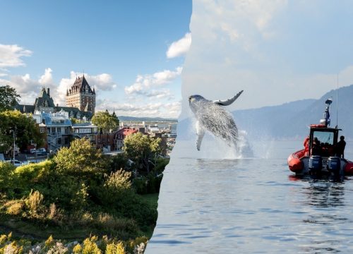 Kanada Selbstfahrer Rundreise: 10 Tage Québecs Charme & Wildnis entdecken