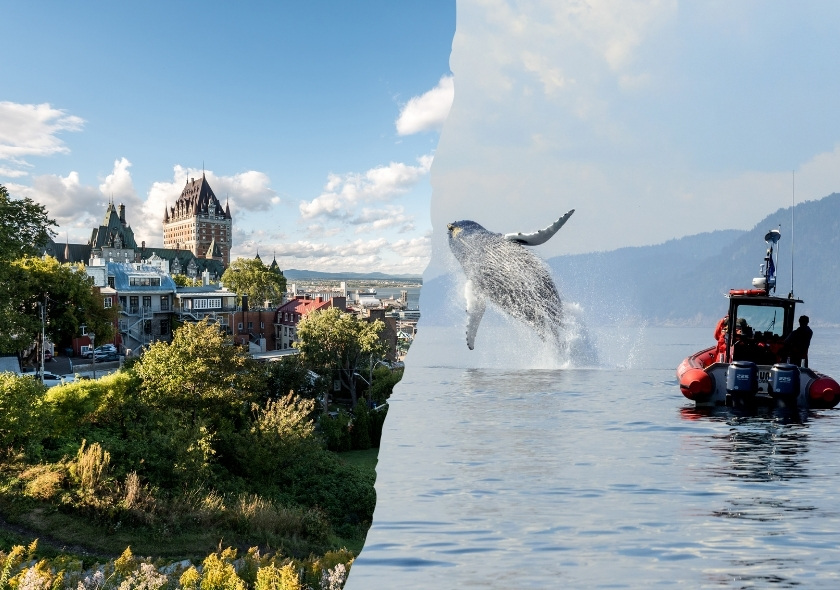 Kanada Selbstfahrer Rundreise: 10 Tage Québecs Charme & Wildnis entdecken