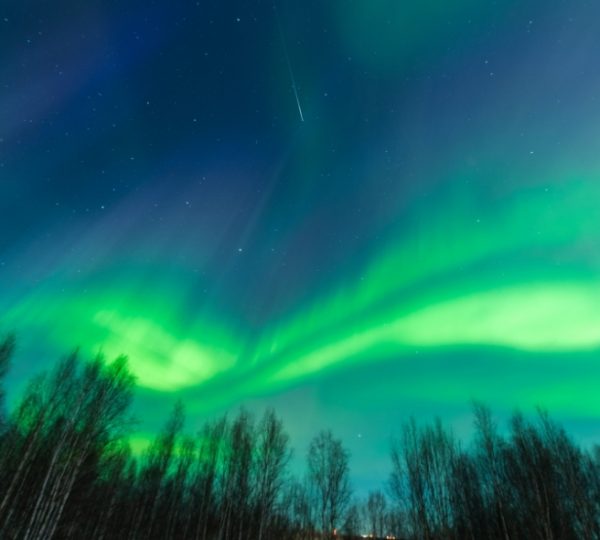 Grüne Nordlichter über dunkler Waldlandschaft in Fairbanks, Alaska, leuchtende Himmelsszenerie mit Sternen Kanada-Rundreise