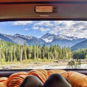 Blick aus dem Autofenster auf eine grüne Waldlandschaft mit schneebedeckten Berggipfeln im Hintergrund; Parks Canada, Canada Strong Pass 2026, Banff/Jasper Kanada-Rundreise