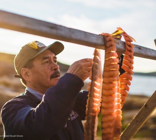 In der freien Natur werden goldbraune, orange Grillwürste am Holzgestell zubereitet – passend zur Kanada Selbstfahrer Rundreise durch Québecs Charme. Kanada-Rundreise