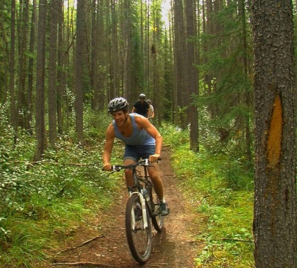 Auf einem schmalen Waldpfad im grünen Nadelwald fährt ein Mountainbiker mit Helm und Rad, umgeben von hohen Bäumen und dichtem Grün. Kanada-Rundreise