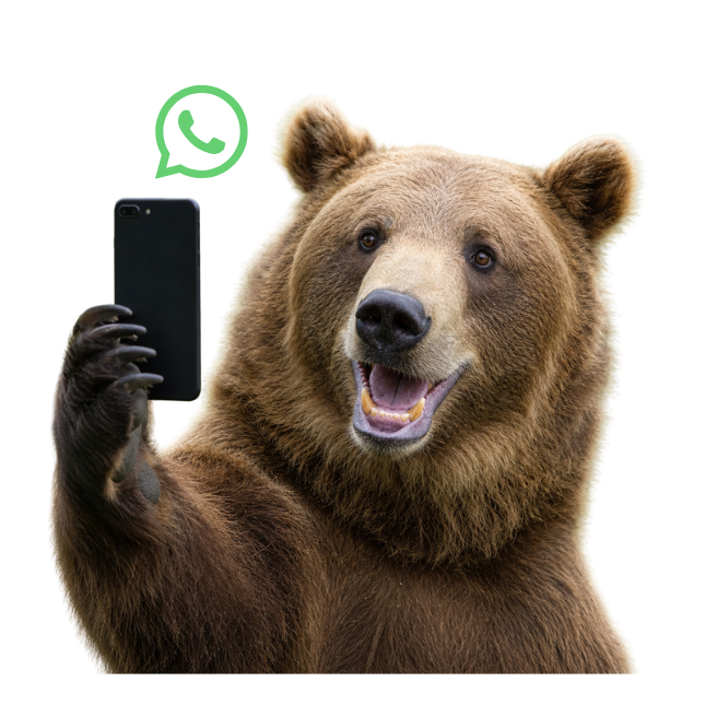 Ein lächelnder brauner Bär hält ein Smartphone neben einem grünen WhatsApp-Symbol für Kanada-News. Kanada-Rundreise