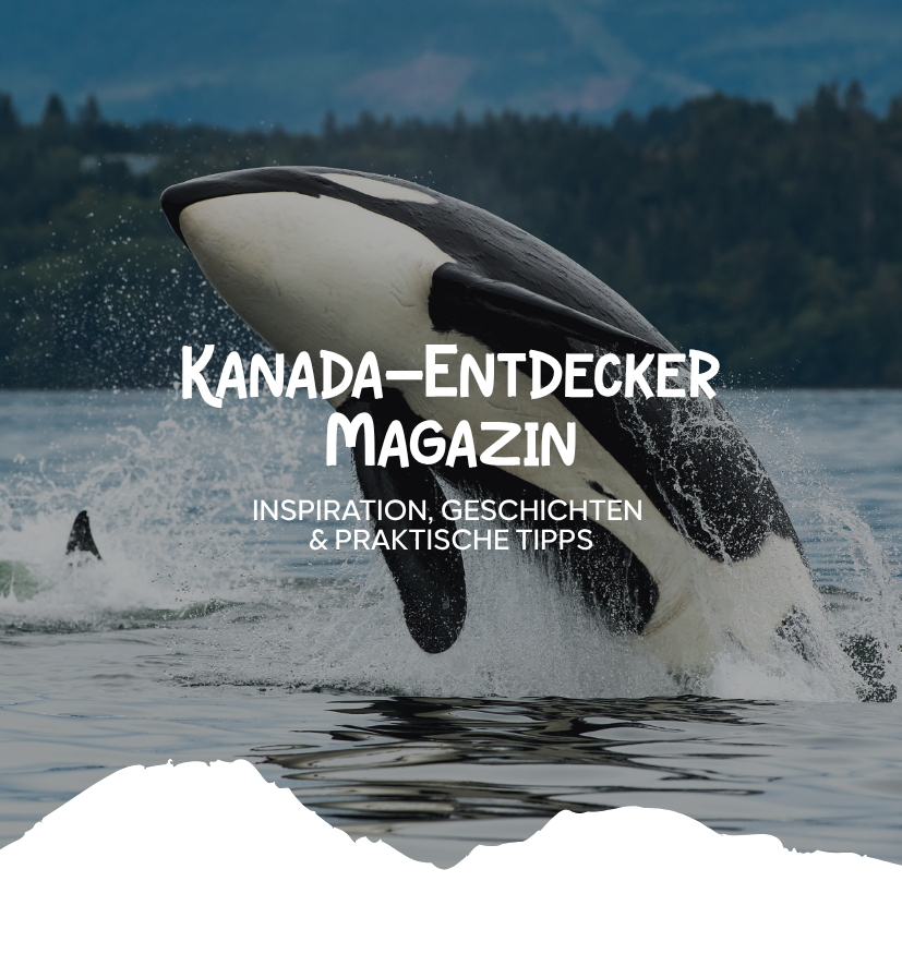 Ein Orca springt aus dem Wasser vor einer bewaldeten Küste, darüber steht der Titel „Kanada-Entdecker Magazin“. Kanada-Rundreise