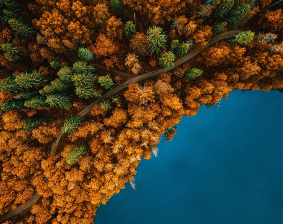 Dichter Herbstwald mit orangefarbenem Laub und immergrünen Bäumen an einem klaren blauen See in Kanada Kanada-Rundreise