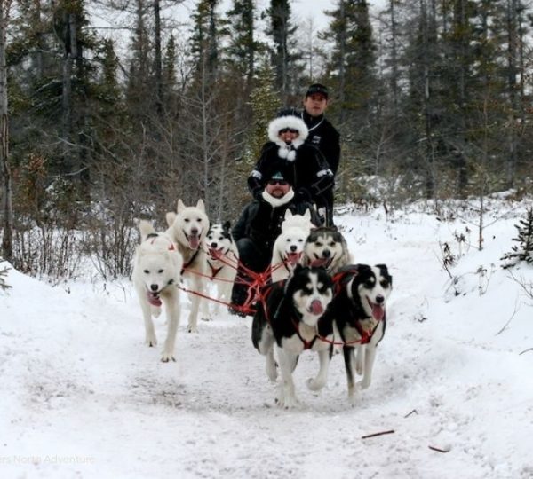 Mehrere Schlittenhunde ziehen einen Schlitten mit zwei Personen durch verschneite Taiga nahe Churchill in Kanada. Kanada-Rundreise